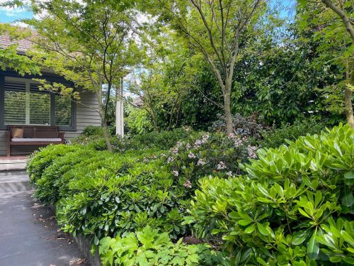 Peppercorn, Surrey Hills_1