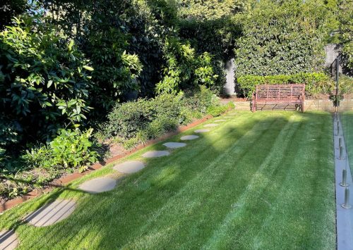garden established