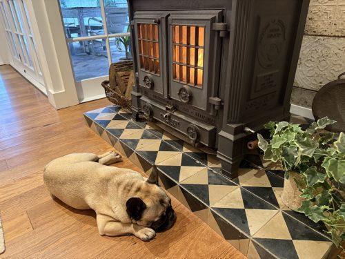 Betty fireplace10