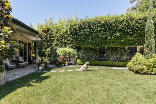 garden established