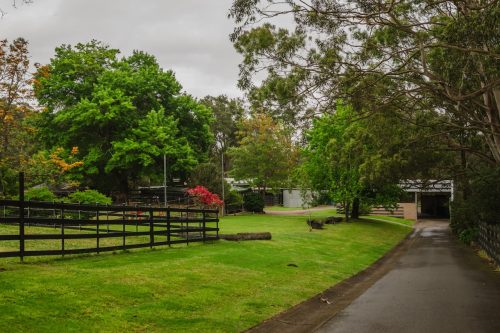 Saddlery Estate, Dural_34
