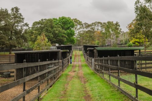 Saddlery Estate, Dural_43