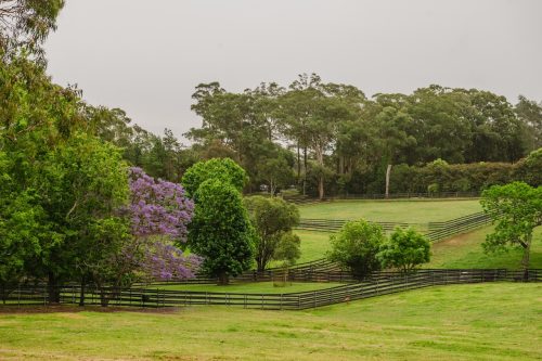 Saddlery Estate, Dural_46
