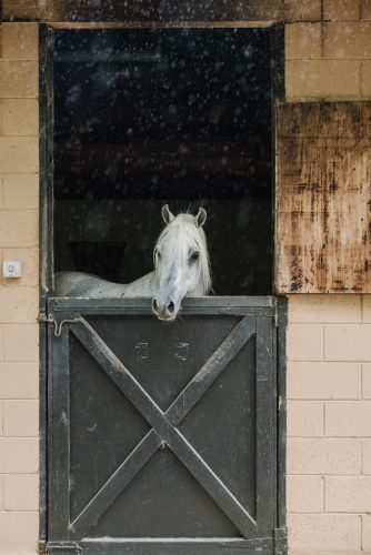 Saddlery Estate, Dural_69