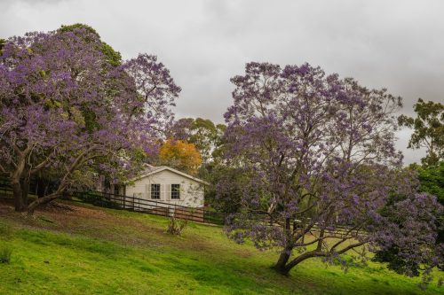 Saddlery Estate, Dural_75