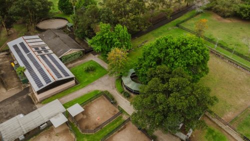 Saddlery Estate, Dural_8