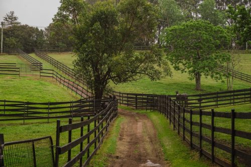 Saddlery Estate, Dural_80