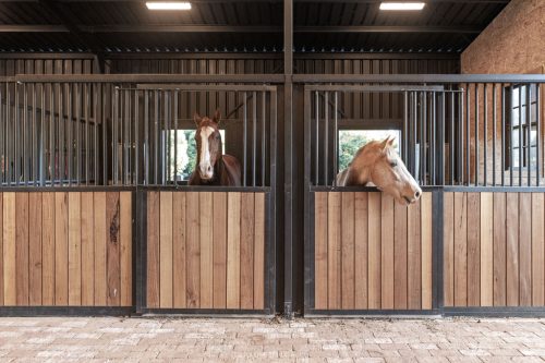 Coastal Stables, Alstonvale-55