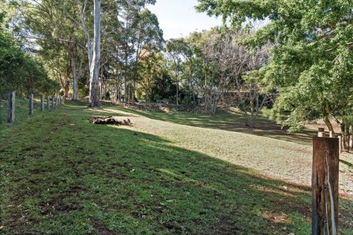 garden established