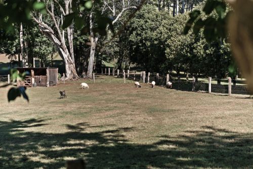 Coastal Stables, Alstonvale-71