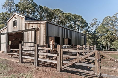 Coastal Stables, Alstonvale-75
