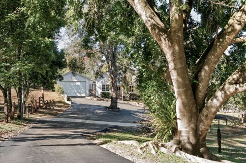 Connoly Ranch, Alstonvale66
