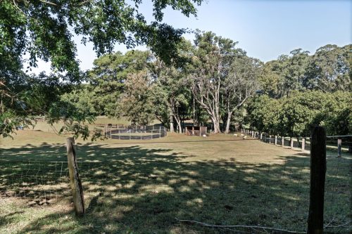 Connoly Ranch, Alstonvale67