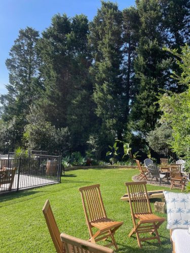 backyard