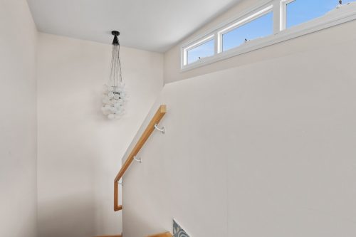 Socialite, Auchenflower-14