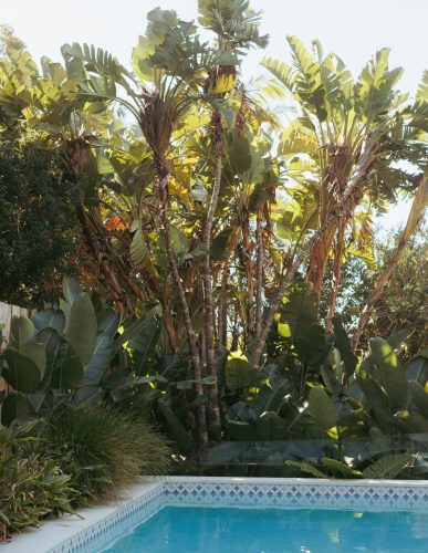 garden established