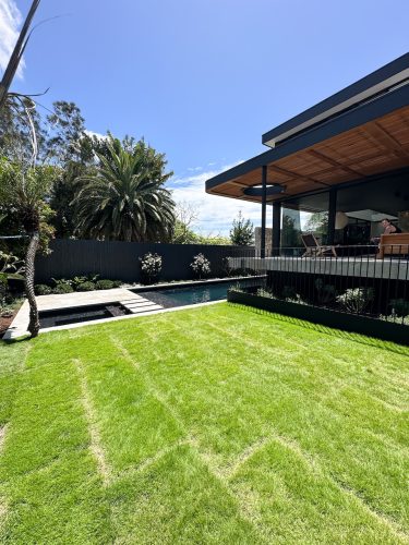 backyard garden established