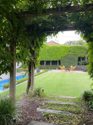 backyard garden established