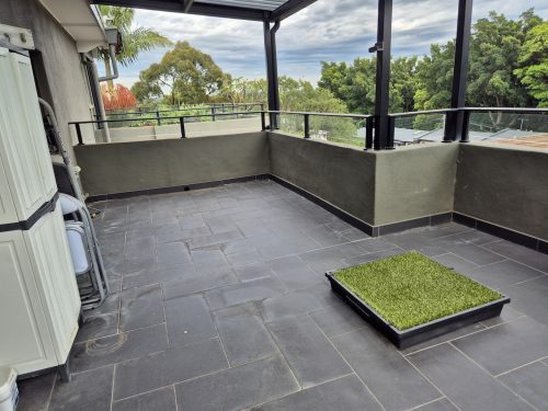 Rondo, Leichhardt_16