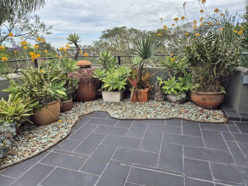 Rondo, Leichhardt_41