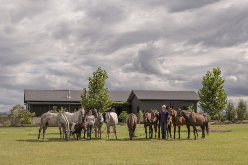 Sun Ranch, Milora_19
