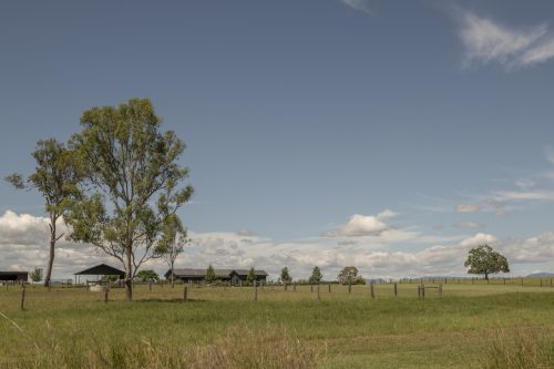 Sun Ranch, Milora_26