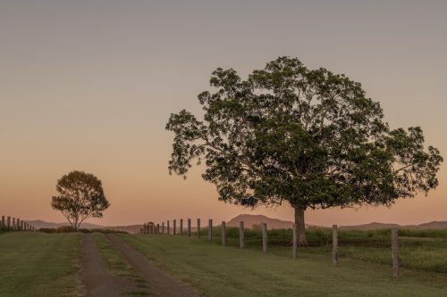 Sun Ranch, Milora_30