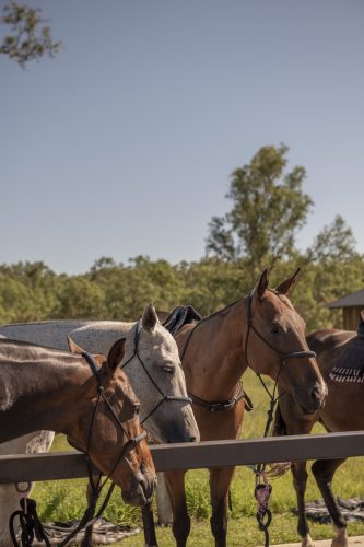 Sun Ranch, Milora_43