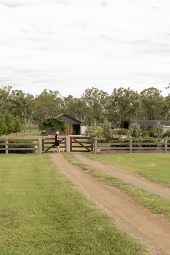 Sun Ranch, Milora_8