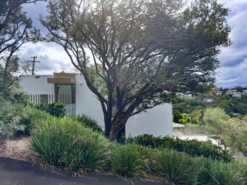 Ace Home, Mosman-17