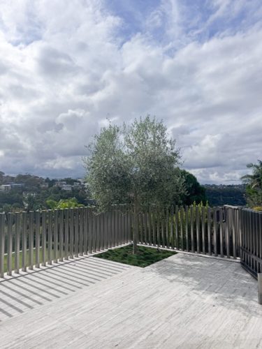 Ace Home, Mosman-27