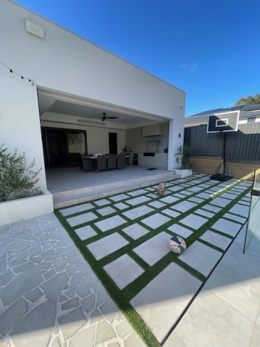 Backyard2