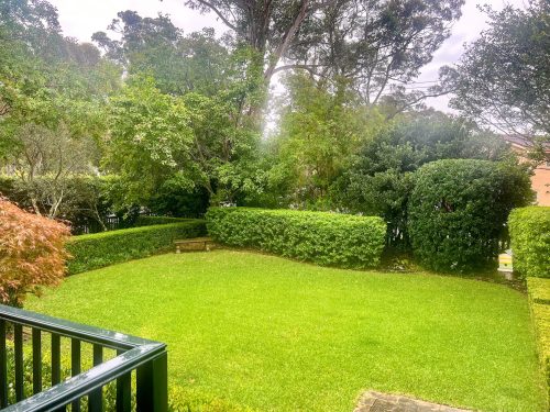 backyard
