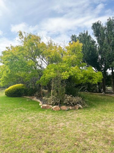 Eton Villa, Frankston South-06