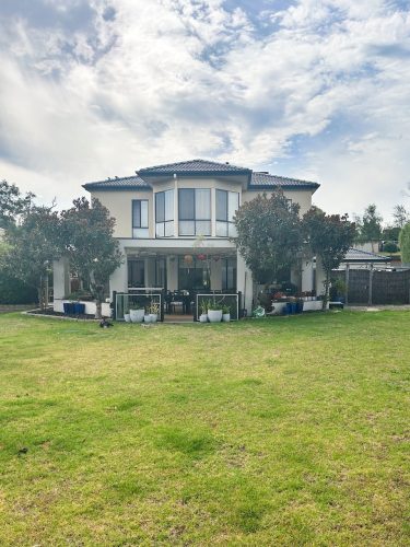 backyard
