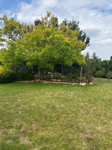 Eton Villa, Frankston South-11