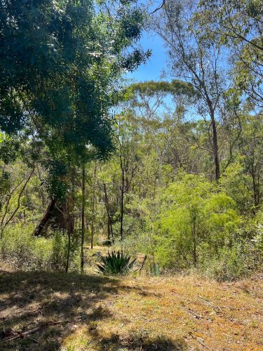 Moon River, Warrandyte 2