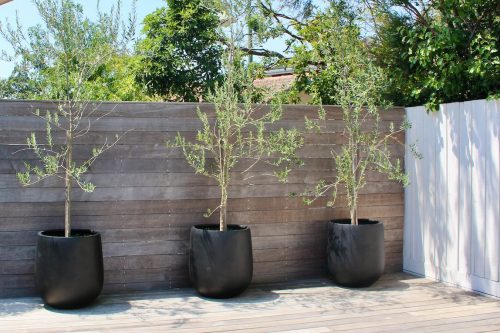 Periscope, Hamptons East-27