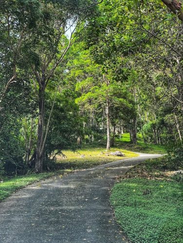 driveway