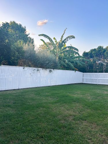 backyard
