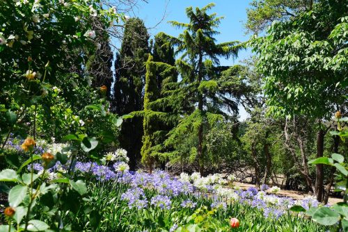 garden established