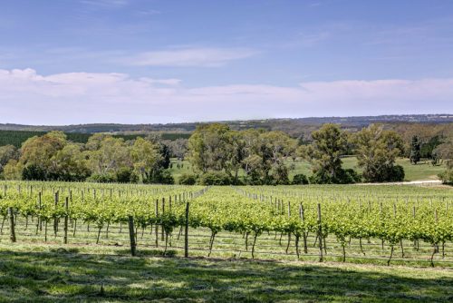 Windsor Abbey, Pewsey Vale-16