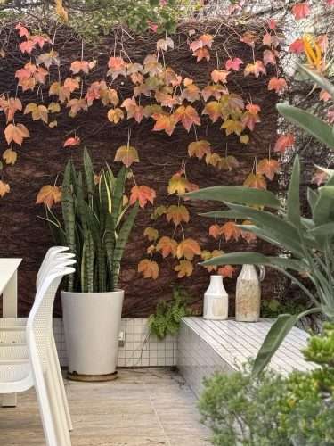 ARES OUTDOOR DINING AND FLOWERSS15