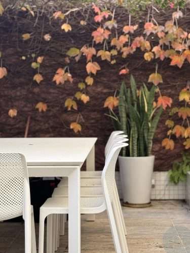 ARES OUTDOOR DINING AND FLOWERSS17