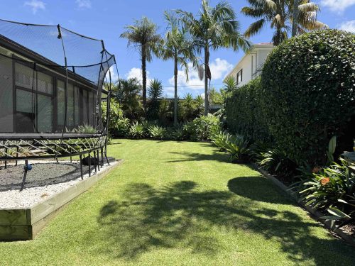 backyard garden established