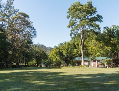 Ananda, Currumbin Valley_14