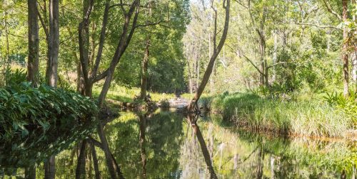 Ananda, Currumbin Valley_15