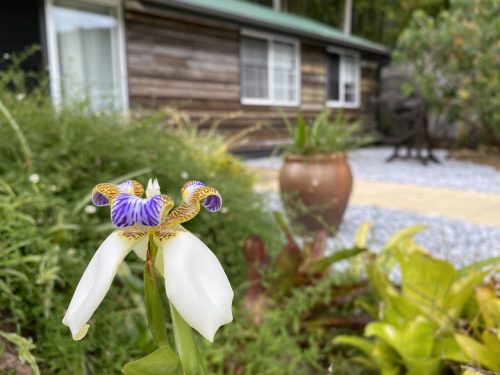 Ananda, Currumbin Valley_25