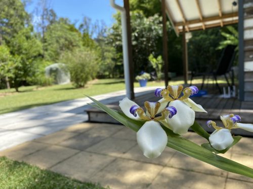 Ananda, Currumbin Valley_26
