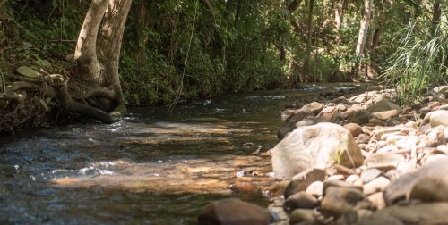 Ananda, Currumbin Valley_29
